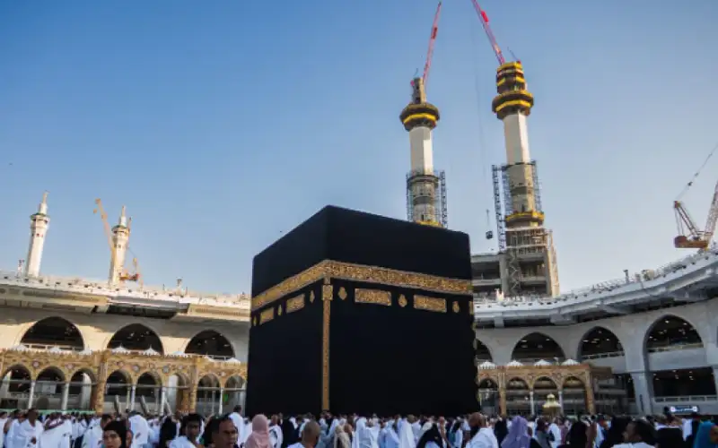 سماعات ومصاحف بقلم قارئ وعصي بيضاء