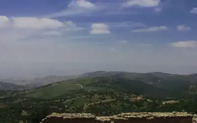 مطلوب تسهيل إجراءات اشتراك المغترب الأردني