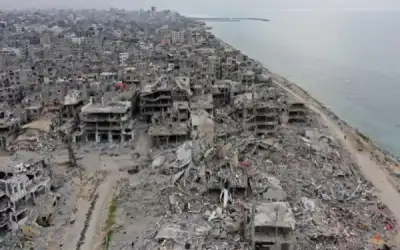 العريس يهرب والأب ينقذ الموقف ويتزوج