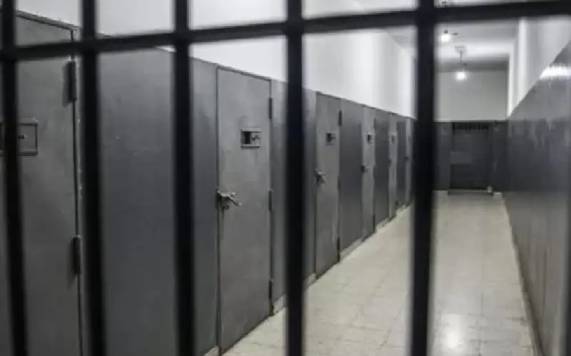 العدل: 163 عقوبة بديلة عن الحبس