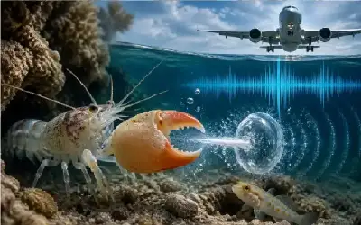 أقوى من هدير الطائرات.. كائن أصغر
