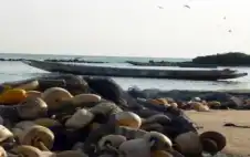 قرابة 8 آلاف مهاجر لقوا حتفهم