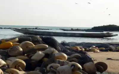 جراحات كسر الساق.. حلم الإطالة ليس