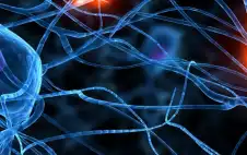 الأمعاء قد تنذر بمرض باركنسون قبل