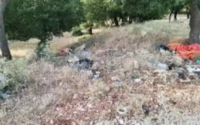 الوزير ابو السعود يبحث وسفيرة سويسرا