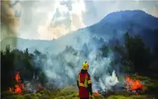 حرائق الغابات تstrongزيstrongد خطر الإصابة بالسرطان