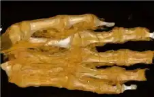 أسرار لم ترو من قبل.. ما