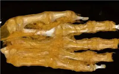 إحالة 35 موظفا في أمانة عمان