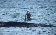 ألمانيا تتراجع عن خطة تعويم الحوت