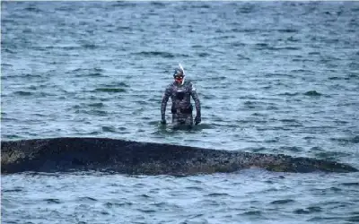 السعودية تنفذ الإعدام قتلا بالتوأمين خالد