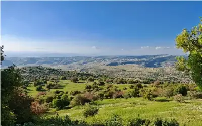 نيويورك المالي: خسائر اسبوعية فاقت 1900