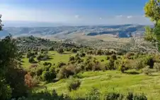 الرجوب: طائرات مسيرة لرصد المخالفات اstrongلبstrongيئية