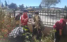 اختتام برنامج التطوع الأخضر في مركز