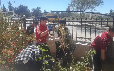 هل الحمية قليلة الكربوهيدرات صحية؟