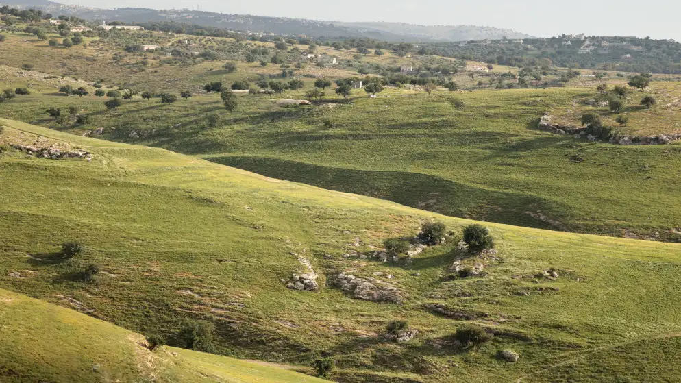 جواء دافئة في معظم مناطق المملكة