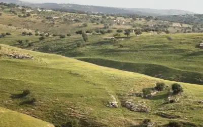 عندما تنفق الوزيرة 15 ألفا فقط