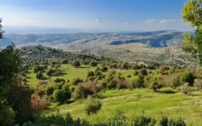 صحة غزة تحذر من انتشار الأوبئة