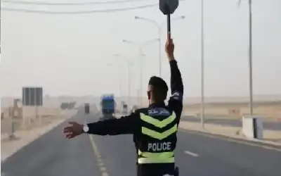 عماد الدين شقيق الاميرة فريال