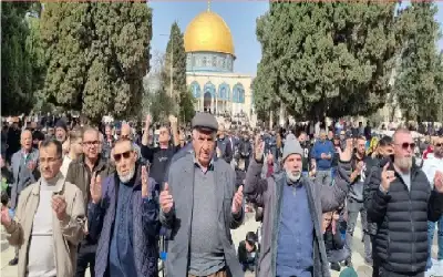 من هو أمجد يوسف مرتكب مجزرة