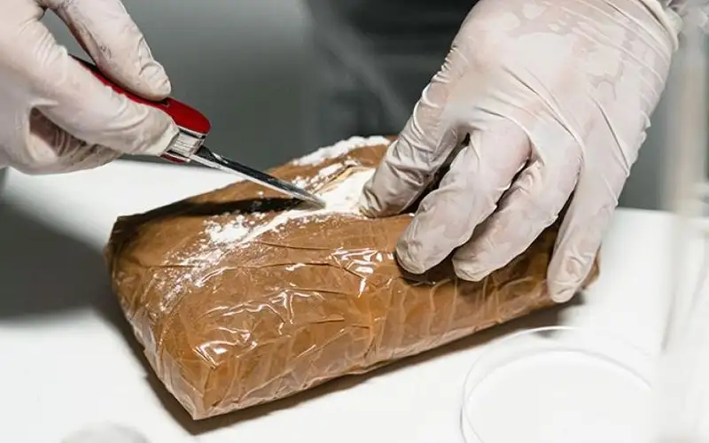 أردني بين متهمين لبنانيين بتهريب كوكايين