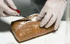 أردني بين متهمين strongلبstrongنانيين بتهريب كوكايين