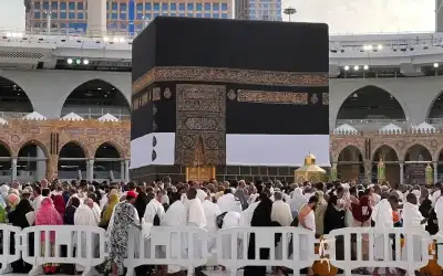 فوائد المخلل لصحة الجسم لا تصدق