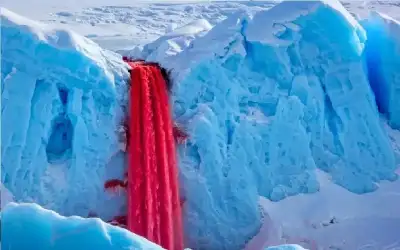 نزهة الدماء: حين غدرت الأبوة بوعود