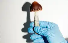 صحة ـ من الطبيعة إلى العيادة.. مركب فطري