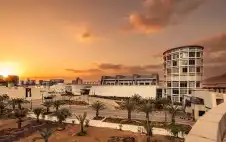 اstrongلبstrongوتاس العربية تسجل أعلى نمو في