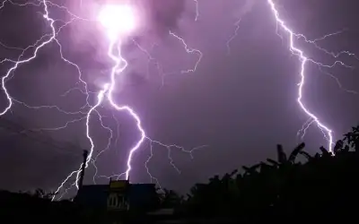 فيتال: النشامى كانوا متوترين وقلقين ..