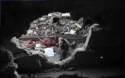 أسراب بعوض أخضر تجتاح شوارع تركيا