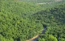 دمج التوstrongعيstrongة بالحلول الذكية .. خارطة