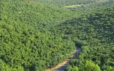 وظائف حكومية شاغرة ومدعوون للمقابلات الشخصية