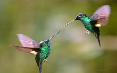 حول الأحزاب السياسية ـ بقلم: سهى