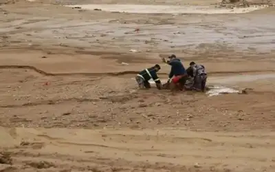 ورشة متخصصة في عمان الأهلية حول