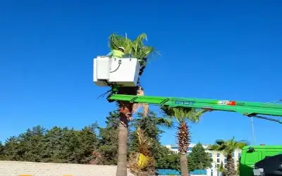 وفاة سائق فورمولا 1 السابق كامبوس