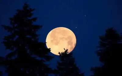 34 شهيدا بينهم 6 أطفال في