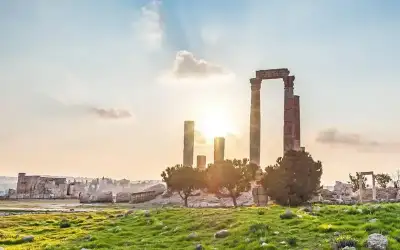 الغذاء والدواء: منع تداول مشروبات الطاقة