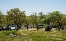 الأمن للمتنزهين: حافظوا على المرافق العامة