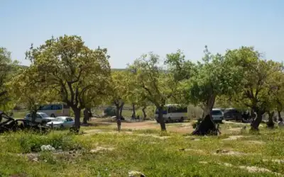 ولي العهد يحتفي بثمار خدمة العلم