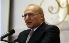 العناني: strongالأردنstrong أكثر الدول نجاحا في