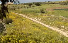 أجواء معتدلة في أغstrongلبstrong المناطق حتى