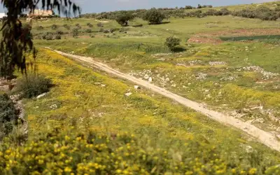 شهيد وجريحان في اعتداءات إسرائيلية على