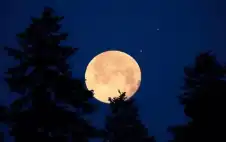 دران في أيار .. سماء strongالأردنstrong