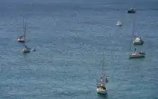 strongالأردنstrong ودول إسلامية وصديقة تدين الاعتداء