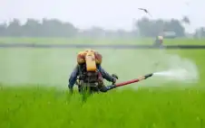 10 مليارات وstrongجبةstrong غذائية مهددة أسبوعيا
