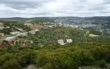وزارة الزراعة تعد خطة للتعامل مع