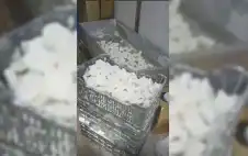إتلاف 20 طنا من الأجبان وإغلاق