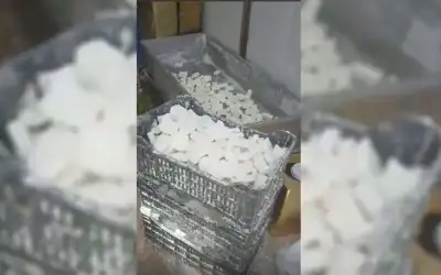 السجن لسيدة ومواطن استوليا على أرض