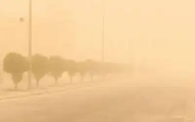 الطراونة خلال لقائه الرزاز: مجلس النواب